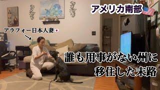 休日vlogを撮ったら8割が犬の映像になってしまったアラフォー日本人妻| アメリカ移住 | 国際結婚 | ピットブル2匹 | お菓子作り | キラキラなんてしてるわけない