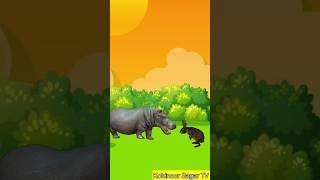 भुक्कड़ खरगोश। Animals stories । Hindi stories। Moral stories। Hindi kahani #shorts