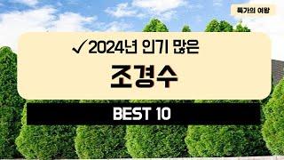 2024년 가성비 조경수 추천 TOP10