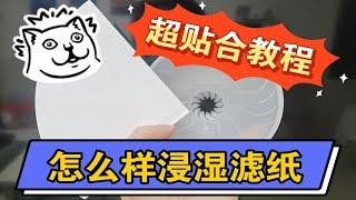 【怎么样浸湿滤纸】超贴合教程！