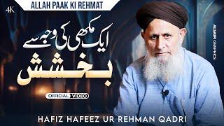 Allah Paak Ki Rehmat - Best Bayan - Aik Makhi By Hafiz Hafeez Ur Rehman Qadri 2025