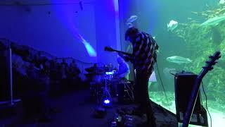 FAUNA (Haefner/Rabe/Merk) - Sojus - Live@Wattforum St.Peter Ording/Toenning