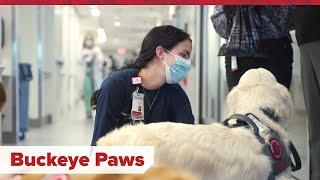 Overview of the Buckeye Paws Program