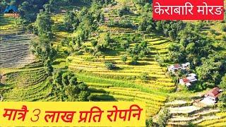 Kerabari#Morang Ga.pa.4#Ropaniko 3 lakh matra#East nepal real\#cheap_land_for_sale_at_nepal