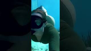 Freediving in the Caribbean #shorts #fyp #freediving