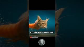트리피 트로피 (Trippi Troppi) 를 알세요?