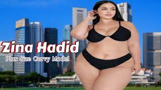 Zina Hadid ~ Curvy Model ~ Plus Size Model ~ Update Wiki & Biography.