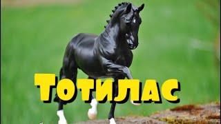 Тотилас |  Horsek 
