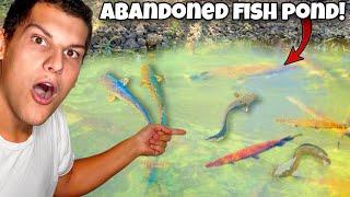 Saving EXOTIC FISH From ABANDONED POND!