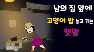 캣맘이 집 앞에 고양이 밥을 놓고 가요