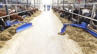 Delaval Feed pusher FPM300 In action (first customer in Canada)