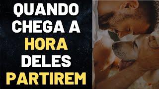 MORTE DOS ANIMAIS DE ESTIMAÇÃO NA VISÃO ESPÍRITA I Mensagem Espírita