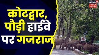 Kotdwar में अचानक आया हाथियों का झुंड, कोटद्वार-पौड़ी हाईवे पर गजराज | Top News | Hindi News