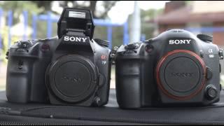 Sony Alpha A99 vs A77