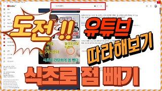 식초로 점빼기 도전 !!!