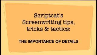 Scriptcat's tips, tricks and tactics, Vol.  86, "Never underestimate the importance of details."