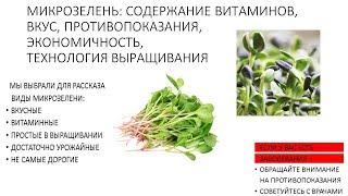 МИКРОЗЕЛЕНЬ: ВИТАМИНЫ, ЭКОНОМИЧНОСТЬ, ТЕХНОЛОГИИ ВЫРАЩИВАНИЯ