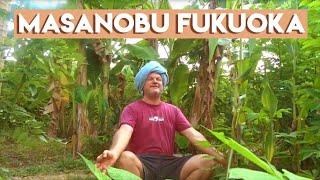 Using Masanobu Fukuoka's natural farming principals in a permaculture food forest ~ Krishna McKenzie