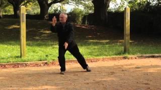 Wu Style tai chi Long Form by Michael W. Acton