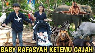 PERTAMA KALI KE KEBUN BINATANG BARENG DEDEK BAYI RAFASYAH