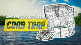 Where And How To Use Crab Trap