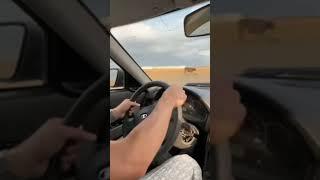 перевернули Приору#гаджи Гаджиев#ахмед алиосхабов#мага