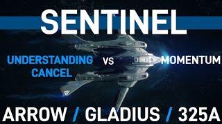 [EP15] SENTINEL vs Arrow/glad/325A Understanding momentum cancel