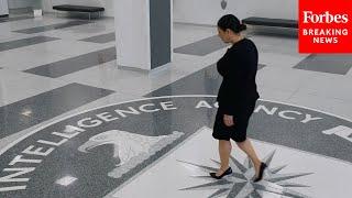 Viral CIA Recruitment Video Features "Cisgender Millennial" Who Says "I Am Unapologetically Me"