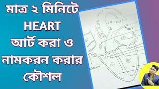 How To Draw And Labeling Of Human Hearts|| Eassy Method