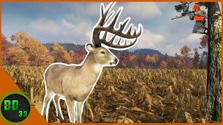 Hunting Opening Day For Whitetails! Call Of The Wild 2024