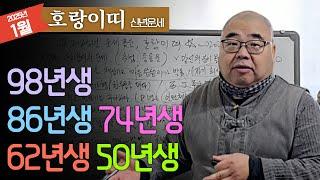 2025년 신년운세 호랑이띠 망신살?! 초심으로 돌려야 하는데... ㅣ을사년 1월 호랑이띠운세 98년생 86년생 74년생 62년생 50년생