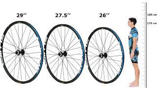 Диаметр колес велосипеда – сколько дюймов выбрать: 26; 27,5 или 29. Плюсы и минусы.