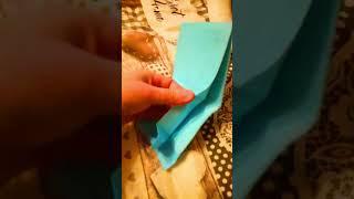 Купил Кошке Дом #кошкиндом #кошки