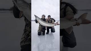 Giant Musky Caught on 3LB Fishing Line 