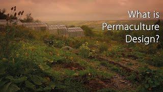 What is Permaculture Design?