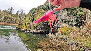 River Fishing with Coon Shrimp & Plugs