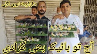 Birds Market Lalukhet Sunday Video Latest Update  9-6-24 in Urdu/Hindi