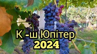 К-ш Юпітер - 2024