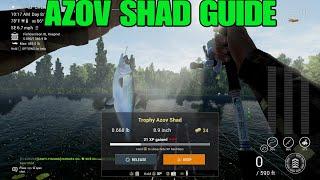 How To Catch Azov Shad In Dnipro River - Fishing Planet