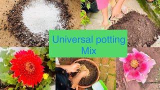 ಯಾವ್ಯಾವ ಗಿಡಗಳಿಗೆ ಯಾವ ರೀತಿ Potting mix ರೆಡಿ ಮಾಡಿಕೊಳ್ಳುವುದು ? Universal potting mix for plants