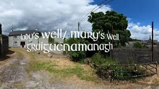 Graiguenamanagh: Lady's Well (360° video)