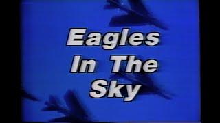 In the Cockpit - Eagles in the Sky (1989) (Tape 4) (VHS)