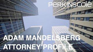 Adam Mandelsberg - Business Litigation Attorney Profile - Perkins Coie