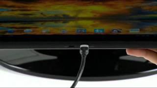 Motorola Xoom Family Edition: HDMI Output