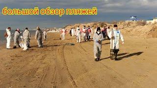 Анапа Уборка Мазута Все Пляжи / Большой обзор своими шагами