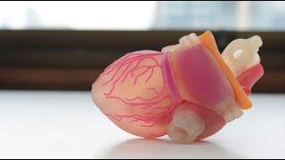 Artificial Organs -The Future of Tissue Engineering (4 Minutes)