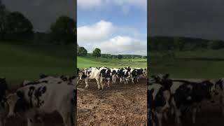 Sharfield Inc 5-13-19 Lot 1