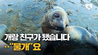 낚시하다가 물개와 친구된 사연