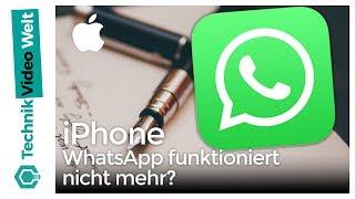 iPhone WhatsApp funktioniert nicht mehr?