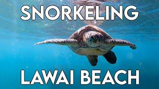 Snorkeling at Lawai Beach (Prince Kuhio Beach) | Best Snorkeling Spots on Kauai